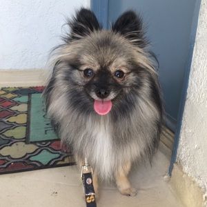 Meet your Posher, Erika